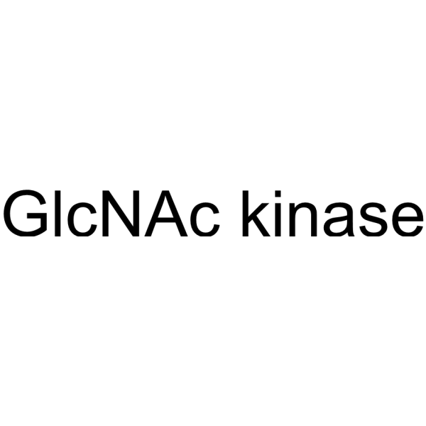 GlcNAc kinase (EcNagK) (N-Acetylglucosamine kinase)